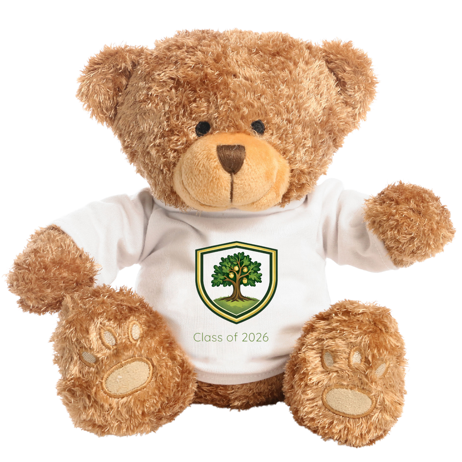 School mascot teddy bear keepsake