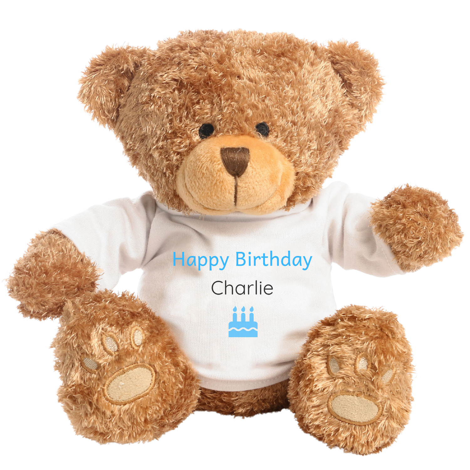 Celebration design on classic bear