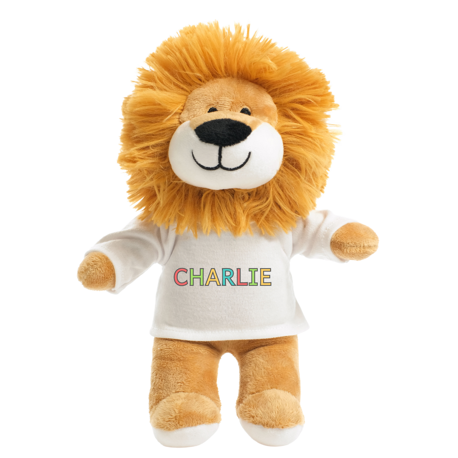 You Are design on lion soft toy