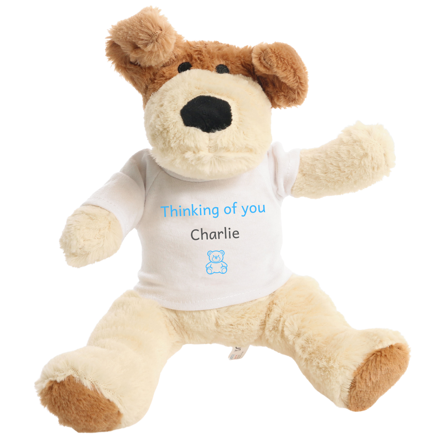 Get well soon design on dog soft toy