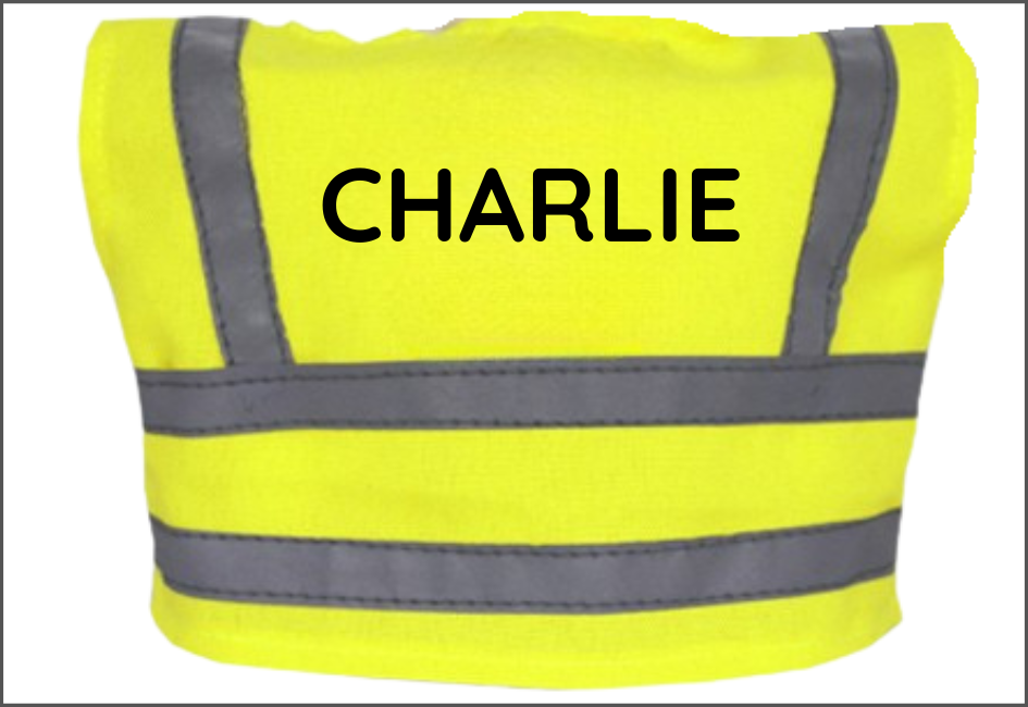 Example of personalisation printed on the hi-vis vest of Builder Monkey