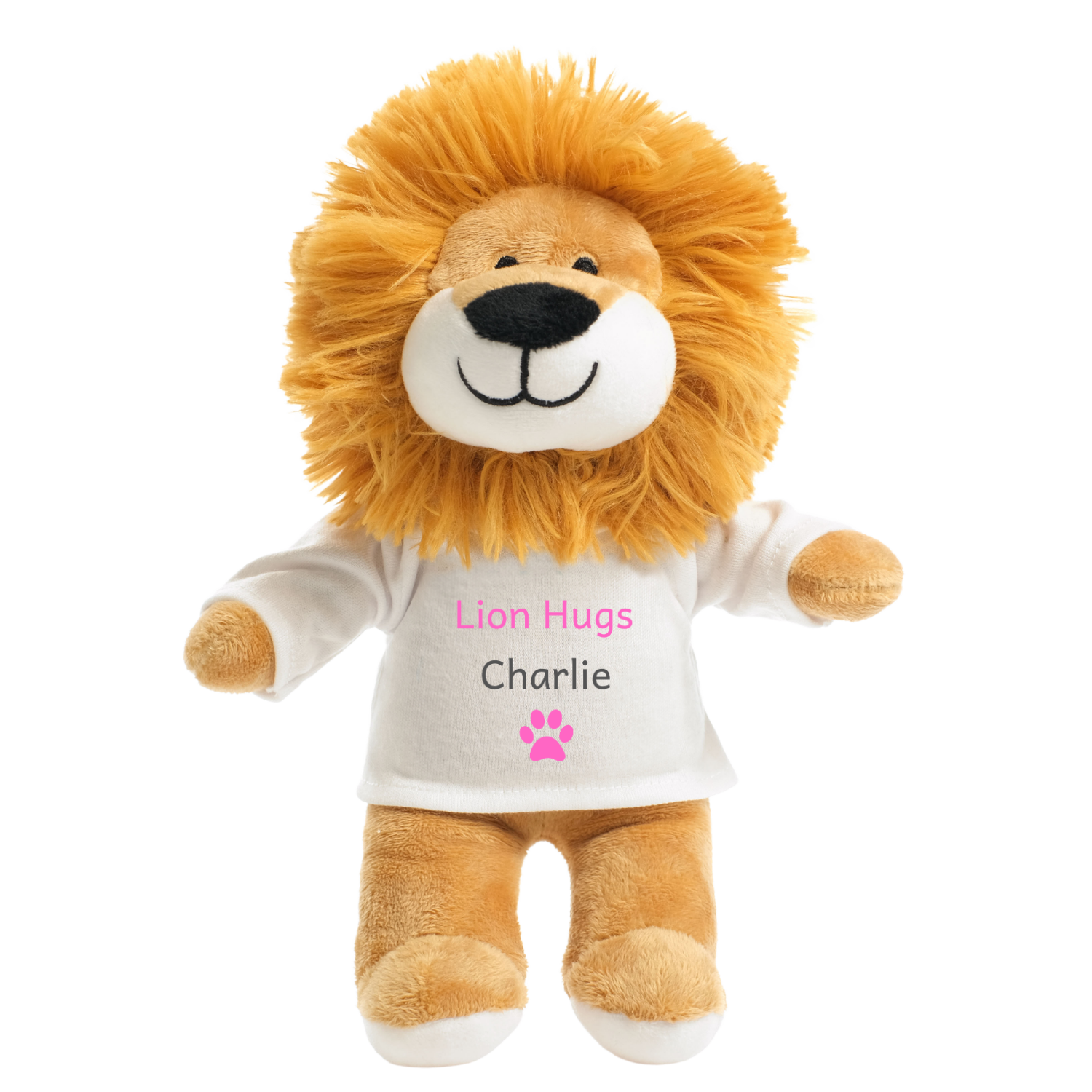 Animal Hugs design on lion soft toy