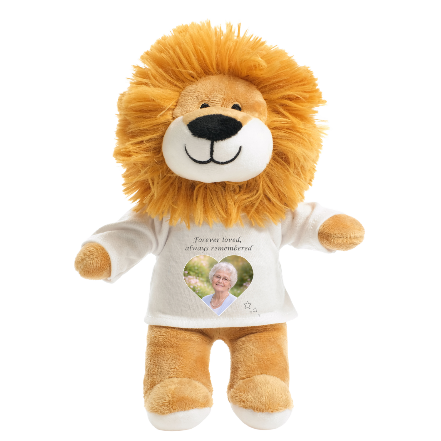 Memorial design on lion soft toy