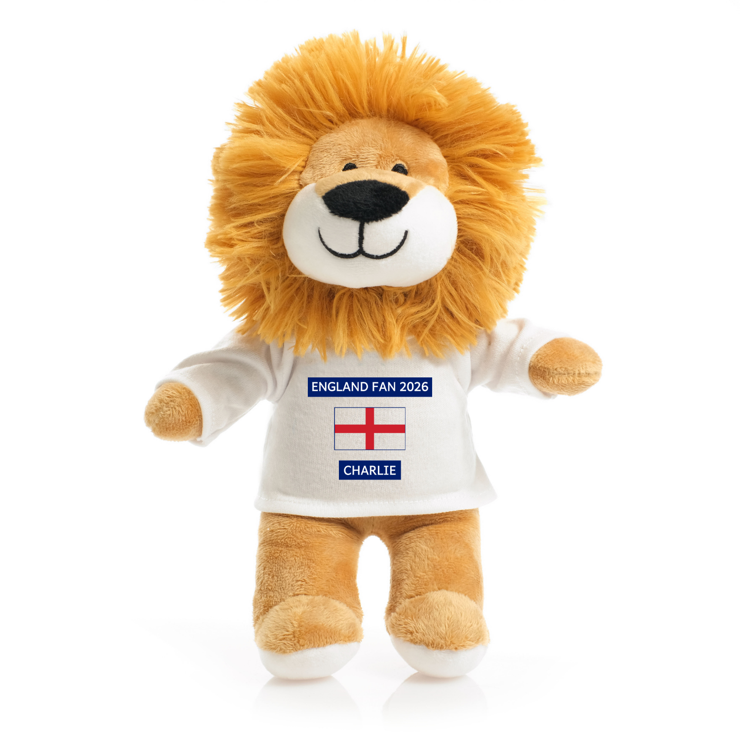 Seasonal personalised bear